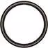 Schwalbe G-one R Evo Super Race Race TLE