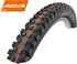 Schwalbe Magic Mary (Addix Folding)