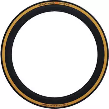 Schwalbe Pro One TT Evolution Tubeless Easy Faltreifen schwarz-classic skin 25-622 (700 x 25C) – Schwalbe Pro One TT Evolution Tubeless Easy Faltreifen für höchste Ansprüche