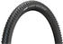 Schwalbe Racing Ray (Evo)