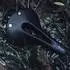 Selle San Marco Regal S.D.