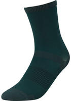 GRIPGRAB Airflow Lightweight Sommer Socken Gr&uuml;n Modell Aktion