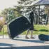 Thule Roundtrip black