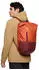 VAUDE CityGo Bike 23 II Backpack Pannier buckeye