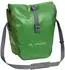 parrot green