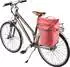 Deuter Mainhattan 17+10 (redwood-ink)
