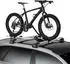 Thule ProRide Fatbike Adapter 598101