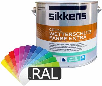 Sikkens Alphasol 5l