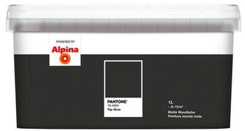Alpina Wandfarbe Pantone 19-4004 talpina shoe 1l