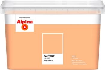 Alpina Wandfarbe Pantone 13-1023 peach fuzz 2,5l