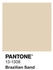 Alpina Wandfarbe Pantone 13-1308 brazilian sand 5l