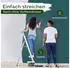 Veluxis Wandfarbe Wandfarbe Universal Deckkraft-Klasse 1 Streifenfrei tropfarm & VOC-frei Specific Spirulina