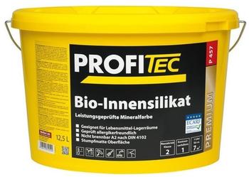 ProfiTec Bio-Innensilikat P457 12,5 l