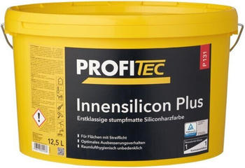 ProfiTec P 131 Innensilicon Plus 12,5l