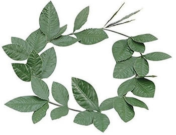 Bristol Novelty Ltd Laurel Blatt Kostüm Stirnband
