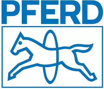 Pferd Angelfeile 815 Flachstumpf schmal 150mm Hieb 2 (19303154)