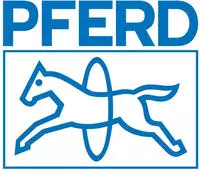 PFERD Stiftenfeile sehr schmal 150mm H2 R&uuml;ggeberg