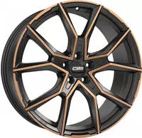 C33
