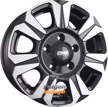 CMS C31 (6.5x16)