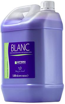 Artero Shampoo Blanc (5 L)