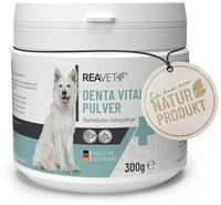 Denta Vital Pulver 300 g
