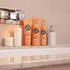 Pet Head Dog Conditioner Ditch The Dirt Conditioner Odour Neutralising for Smelly Dogs Deep Cleans Removes Odours orange 90322A