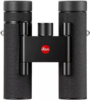 Leica Camera Noctivid Compact 10x25 schwarz beledert