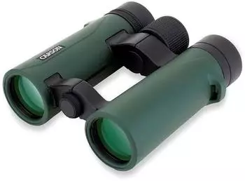 Carson RD Series Fernglas 10x34mm wasserdicht Open Bridge (RD-034)