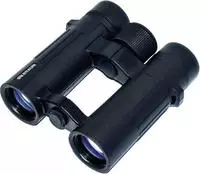 Braun Compagno 10x34 WP (20003)