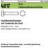 ISO 4017 10.9 M 10 x 90 flZn/nc/TL/x/480h/C flZn S