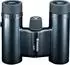 Vanguard Vesta 8210 8x21 Black