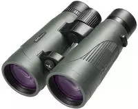 DDoptics Fernglas Nachtfalke ERGO 8x56 Gen 4 gr&uuml;n