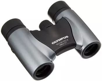 Olympus 10x21 RC II