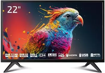 Dyon Enter 22 Pro-X2