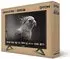 Dyon Enter 22 Pro-X2