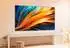 TCL 55PF650 (55 Zoll)