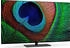 Medion LIFE X15071 (50 Zoll)