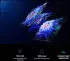 Xiaomi TV S Mini 2025 55