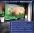 Falcon WebOS SMART Camping TV 22
