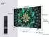 TCL 65Q6C (65 Zoll)