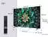 TCL 75Q6C (75 Zoll)