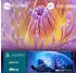 Philips 55PUS8550 (55 Zoll)