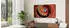 TCL 65Q8CX7 (65 Zoll)