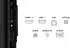 TCL 55P81K (55 Zoll)
