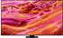Samsung GQ98QN90FAT (98 Zoll)