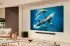 LG 50QNED80A6A