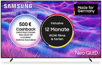 Samsung GQ100QN80FUXZG (100 Zoll)