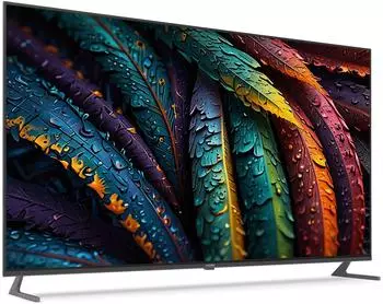 TechniSat TV 55 UHD