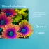 Toshiba 32QV3F63DA (32 Zoll)