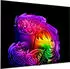 LG OLED83G67LW (83 Zoll)